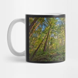 Muir Woods Mug